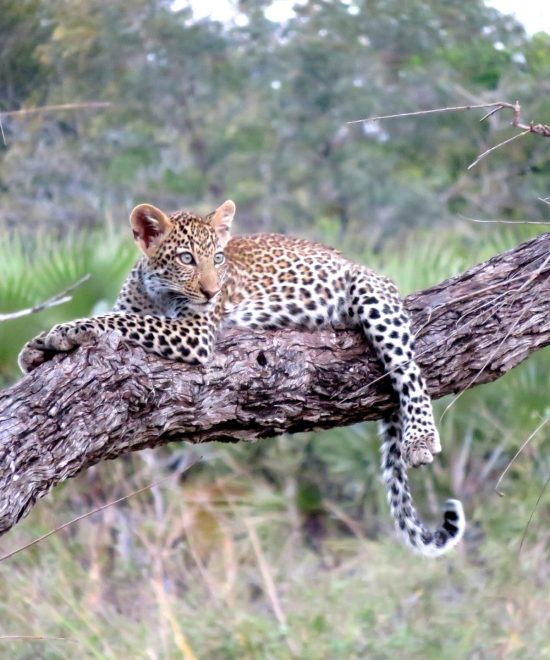 6-Day Grand Tanzania Amazing Tour