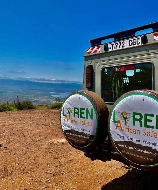 4-Day Great Safari Holiday in Tanzania